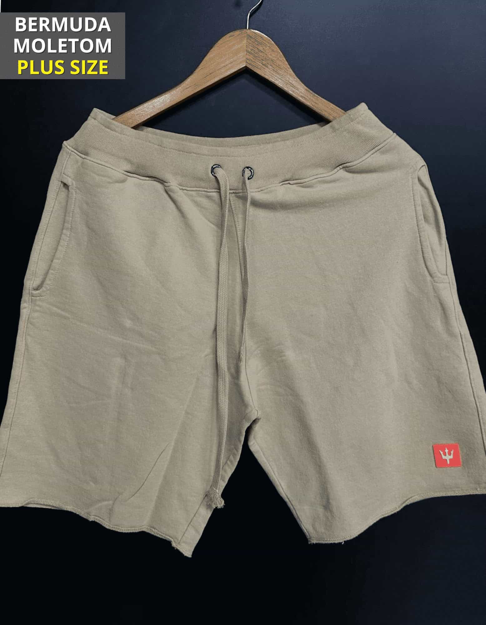 Cópia de Cópia de Cópia de Cópia de Cópia de Cópia de Cópia de Cópia de Cópia de FORMA GRANDE (4) Plus Size Moletom Bege #BPS4 - Imagem 1