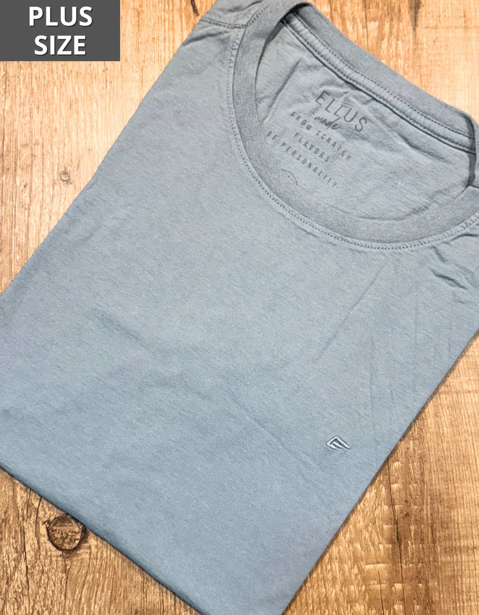 Cópia de Cópia de Cópia de Cópia de Cópia de Cópia de FORMA GRANDE - 2025-06-24T144701.575 Plus Size ELL Clas Cinza #P615 - Imagem 1