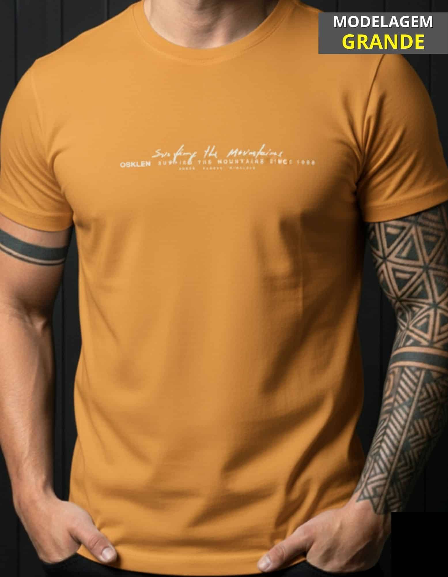 Cópia de Cópia de Cópia de Cópia de Cópia de Cópia de Cópia de Cópia de Cópia de FORMA GRANDE (24)