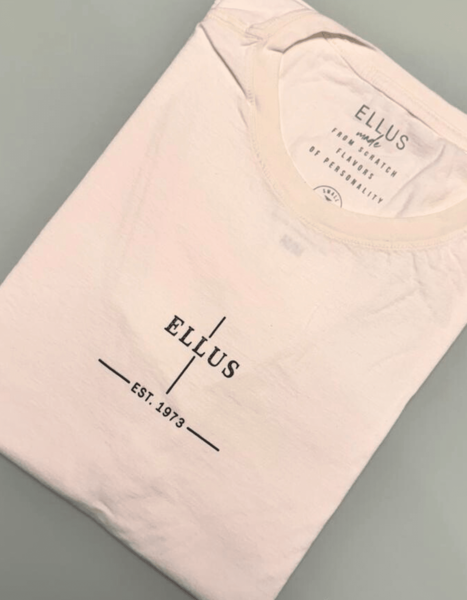 Cópia de Cópia de Cópia de Cópia de Cópia de Cópia de Cópia de Cópia de Cópia de FORMA GRANDE - 2025-11-26T150449.112