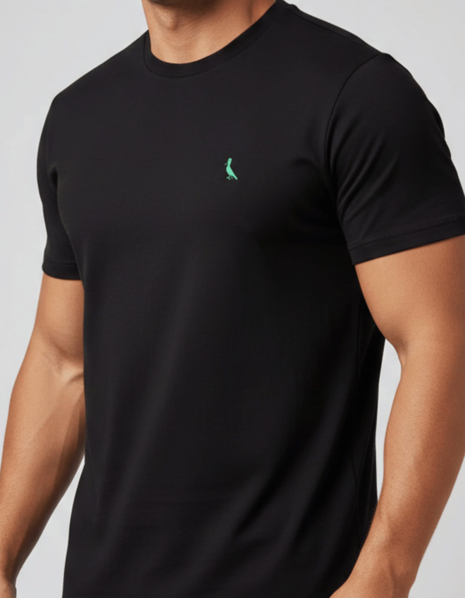 Cópia de Cópia de Cópia de Cópia de Cópia de Cópia de Cópia de Cópia de Cópia de Cópia de FORMA GRANDE (21) Camiseta R S V #c472 - Imagem 1