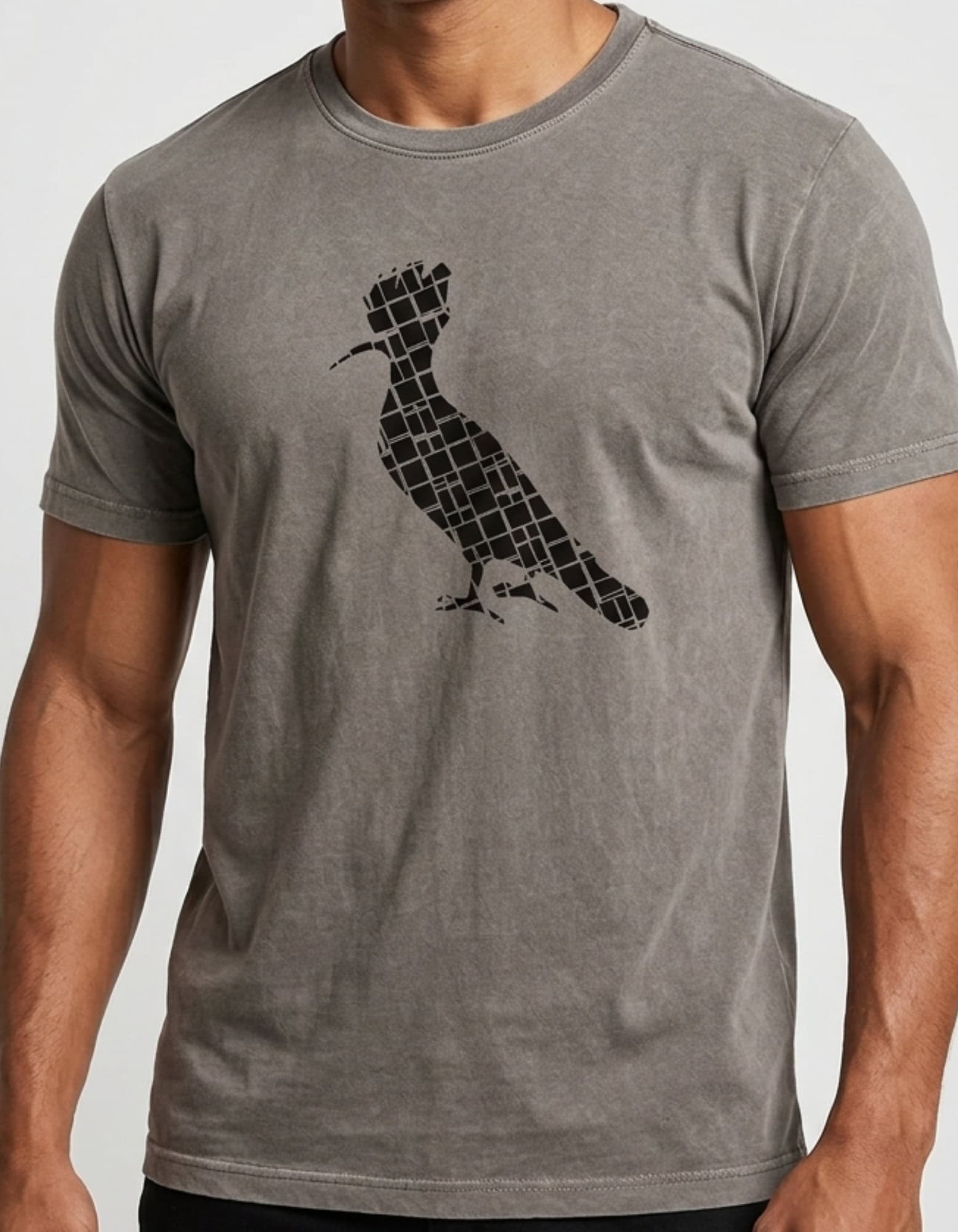 Cópia de Cópia de Cópia de Cópia de Cópia de Cópia de Cópia de Cópia de Cópia de Cópia de Cópia de Cópia de Cópia de FORMA GRANDE (25) Camiseta #c533 - Imagem 1