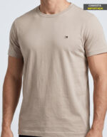 Camiseta Importada TH Cinza #i353