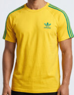 Camiseta Especial Raglan #c755
