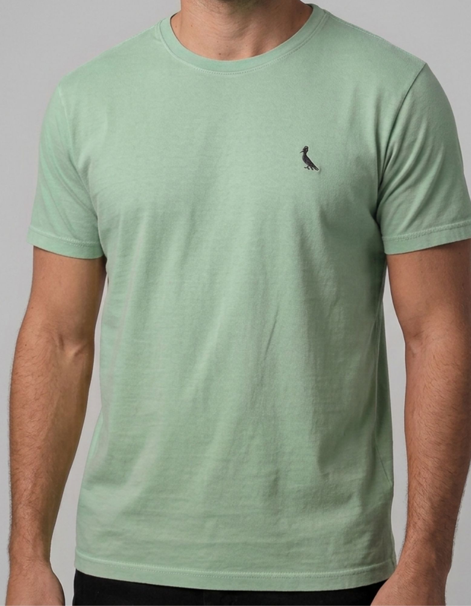 Cópia de Cópia de Cópia de Cópia de Cópia de Cópia de Cópia de Cópia de Cópia de Cópia de Cópia de FORMA GRANDE (40) Camiseta R S V #c924 - Imagem 1