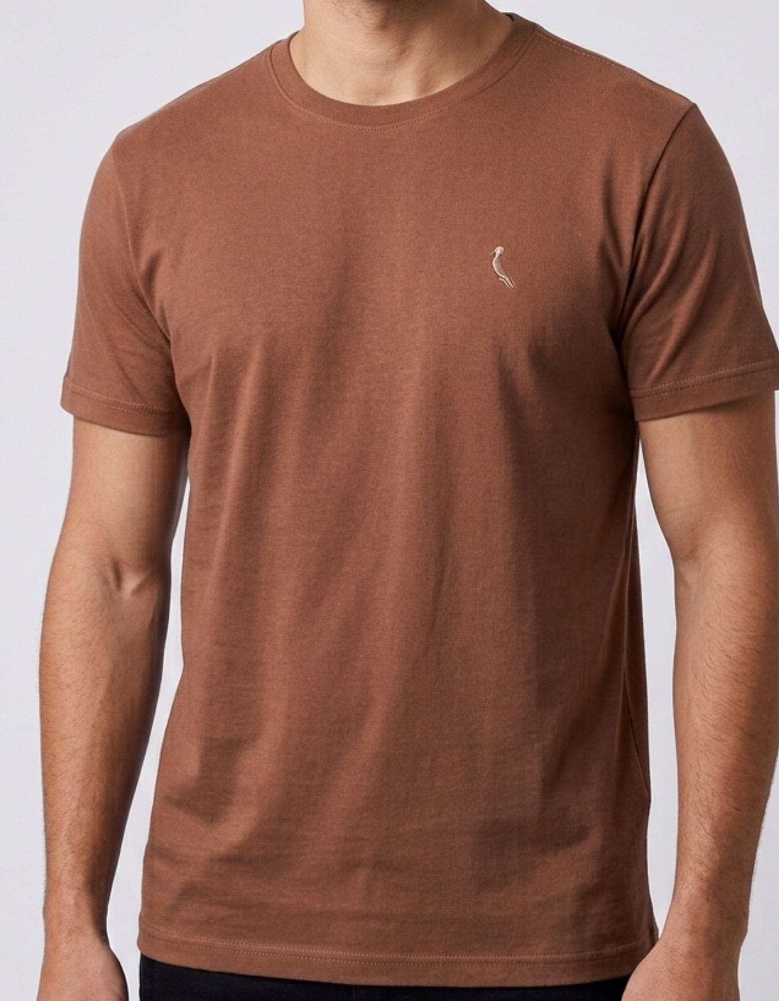 Cópia de Cópia de Cópia de Cópia de Cópia de Cópia de Cópia de Cópia de Cópia de Cópia de Cópia de FORMA GRANDE (45) Camiseta R S V #c921 - Imagem 1